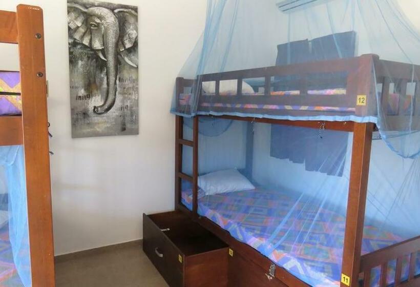 تختخواب در اتاق مشترک, The Long Hostel