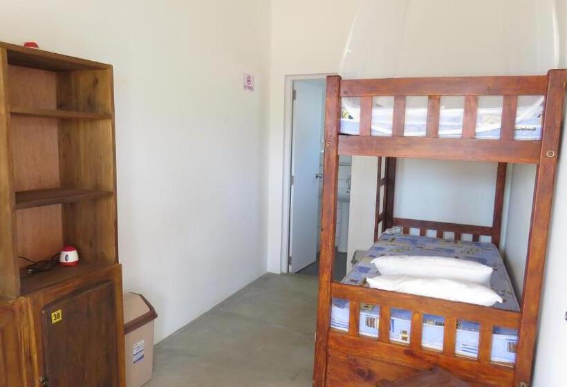 اتاق عادی, The Long Hostel