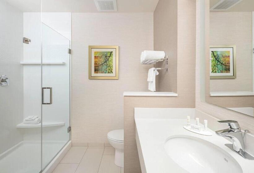 Стандартный Номер Кровать Кинг, Fairfield Inn & Suites By Marriott North Bergen