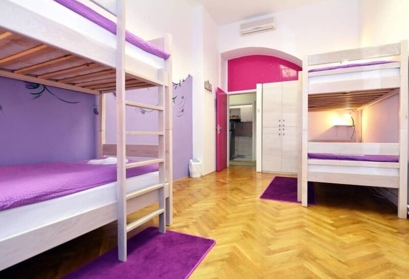 تختخواب در اتاق مشترک, Hostel Chameleon