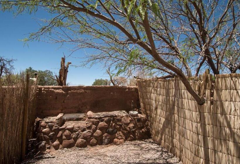 چادر با خدمات رفاهی استاندارد, Aji Verde Hostel San Pedro