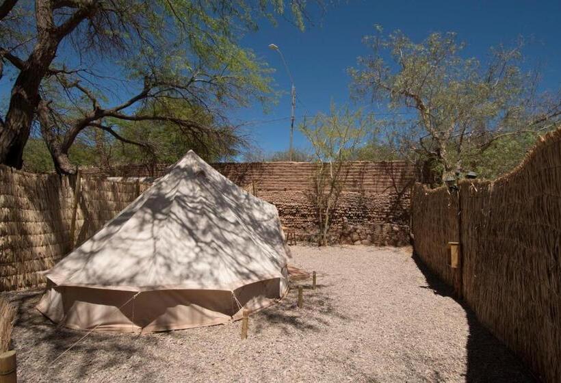 چادر با خدمات رفاهی فوق ممتاز, Aji Verde Hostel San Pedro