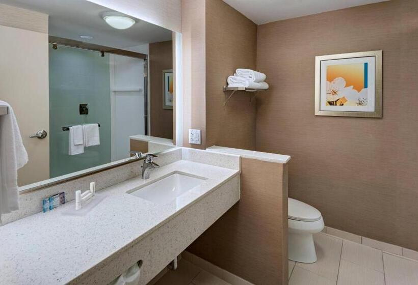 스탠다드 룸 킹사이즈 침대, Fairfield Inn & Suites By Marriott Dublin