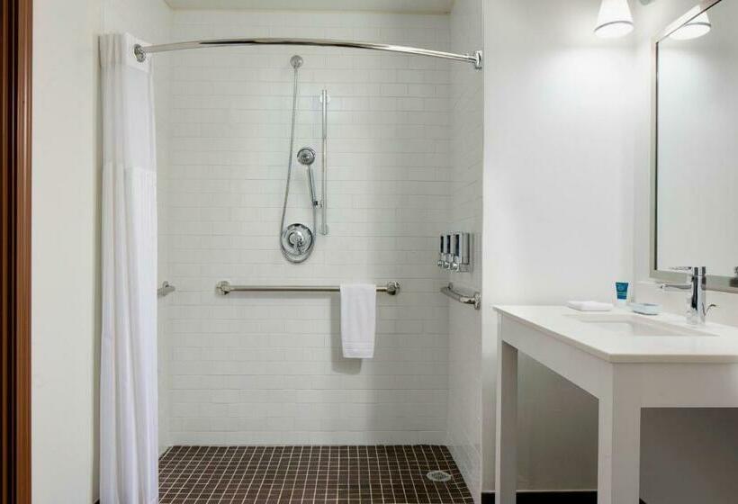 스탠다드 룸 킹사이즈 침대, Four Points By Sheraton Dallas Fort Worth Airport North
