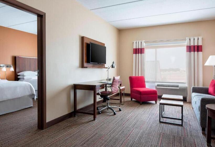스위트 도시 전망, Four Points By Sheraton Dallas Fort Worth Airport North