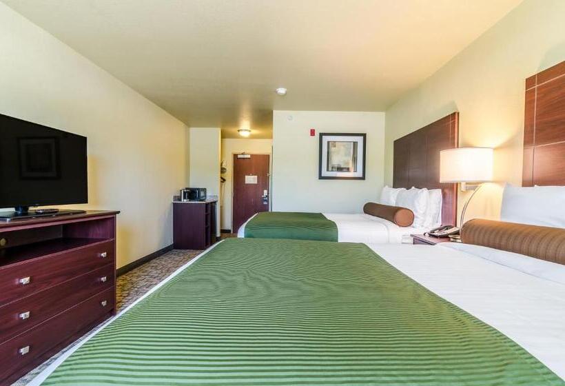 スタンダードルーム, Cobblestone Hotel & Suites   Paxton