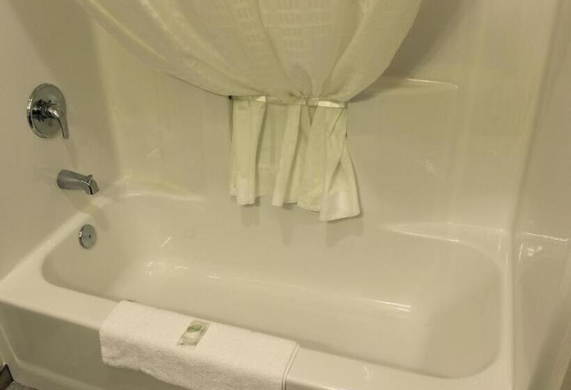 스탠다드 룸 킹사이즈 침대, Cobblestone Inn & Suites   Lamoni