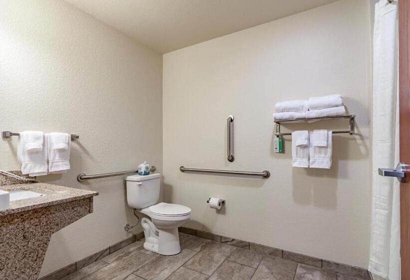 장애인을 위한 킹사이즈 침대 스탠다드 룸, Cobblestone Inn & Suites   Lamoni
