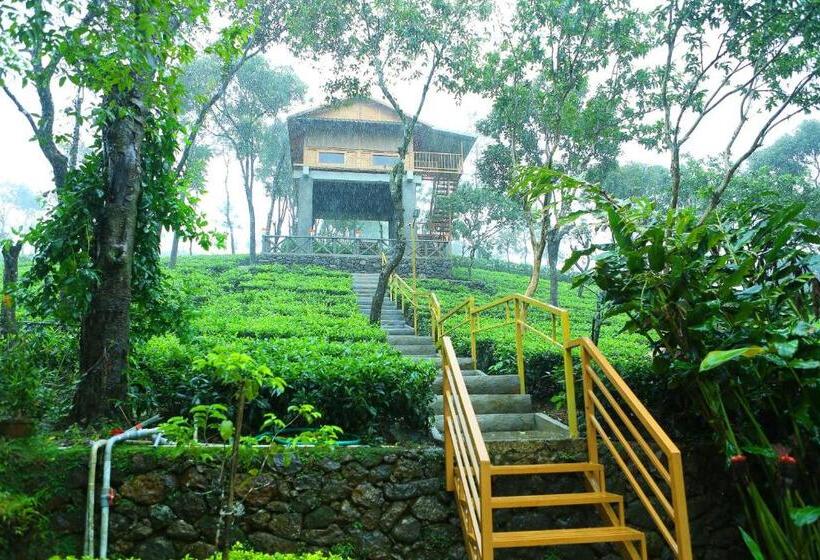 Стандартный Номер Кровать Кинг, Holiday Vagamon