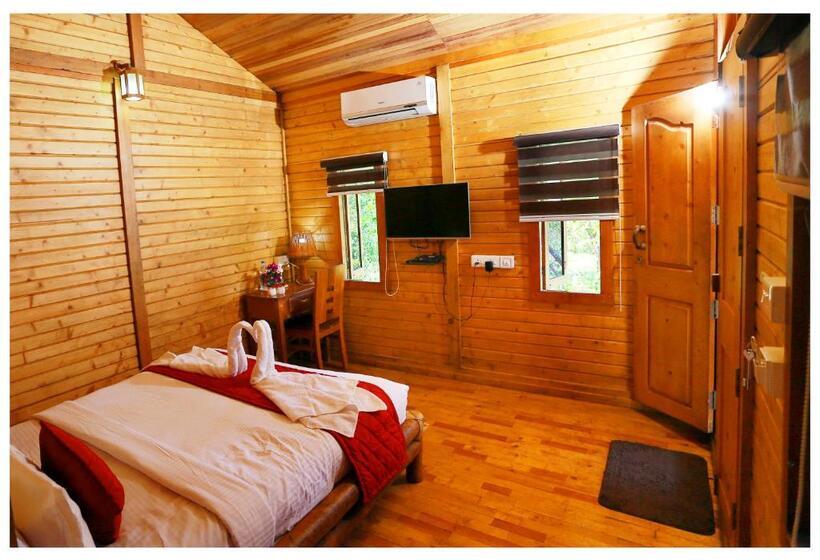 带大床的标准间, Holiday Vagamon