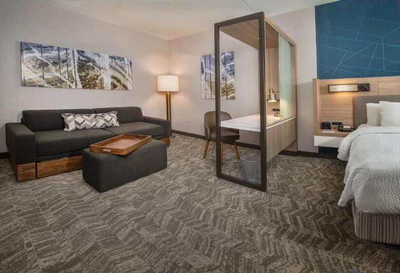 Люкс, Springhill Suites By Marriott Gainesville Haymarket