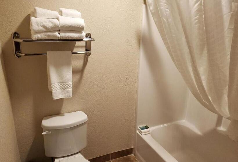 Стандартный Номер Кровать Кинг, Cobblestone Inn & Suites  Maryville
