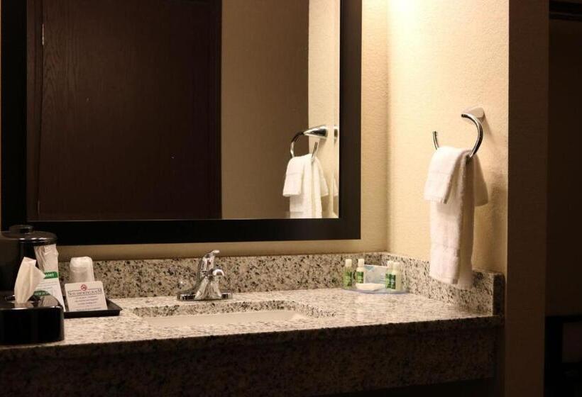 Студия Стандарт, Cobblestone Inn & Suites  Maryville