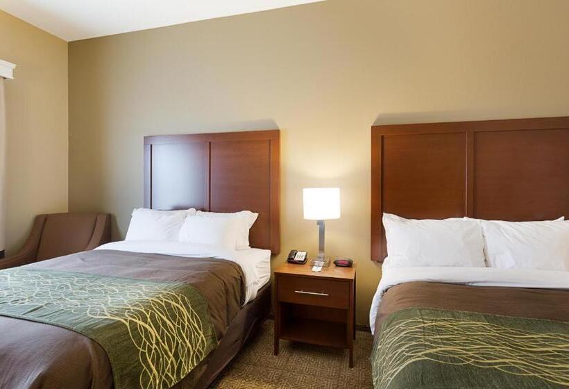 Номер Стандарт, Comfort Inn & Suites Zachary