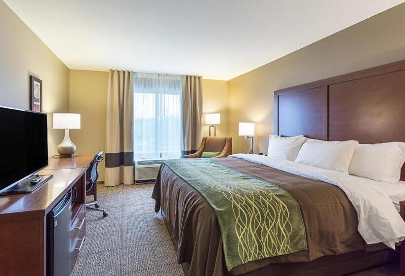 Люкс Адаптированный для Инвалидов, Comfort Inn & Suites Zachary