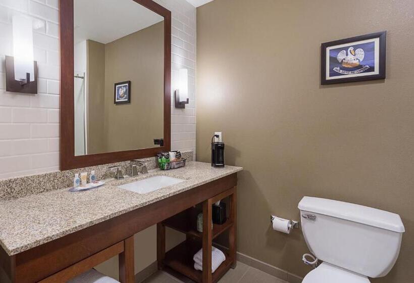 Люкс Адаптированный для Инвалидов, Comfort Inn & Suites Zachary