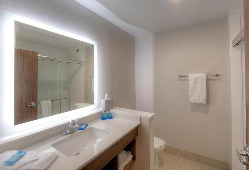 スタンダードルーム, Holiday Inn Express & Suites   Fort Mill, An Ihg