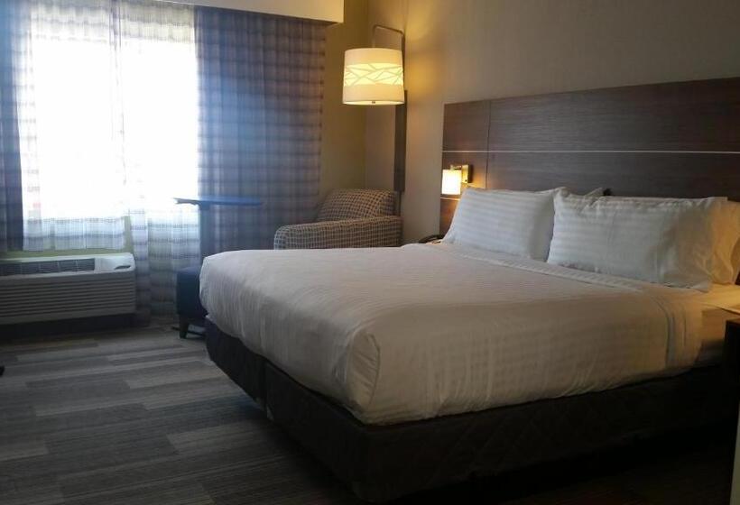 身障者適用キングサイズベッドルーム, Holiday Inn Express & Suites   Fort Mill, An Ihg