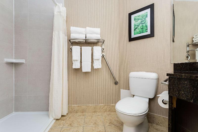 身障者適用スタンダードルーム, Holiday Inn Express & Suites   Fort Mill, An Ihg