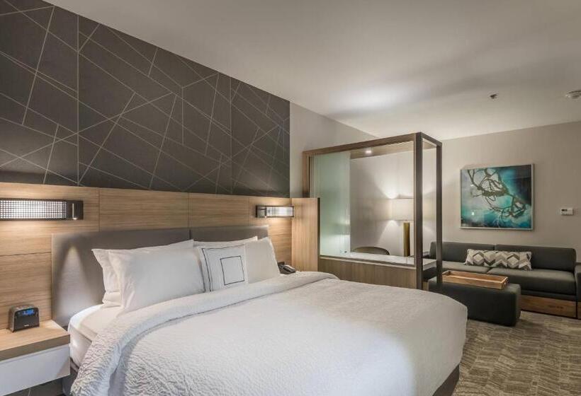 장애인을 위한 스위트, Springhill Suites By Marriott Dallas Rockwall