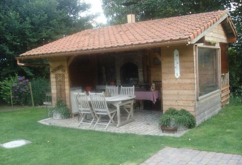 Номер Economy, B&b Mussenzele