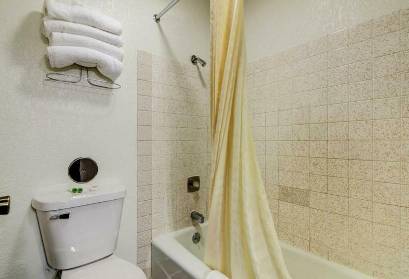 Номер Стандарт, Bloomer Inn & Suites