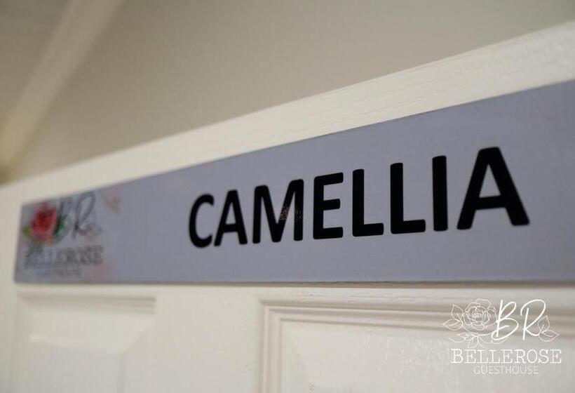 اتاق استاندارد با تخت بزرگ, Bellerose Guesthouse