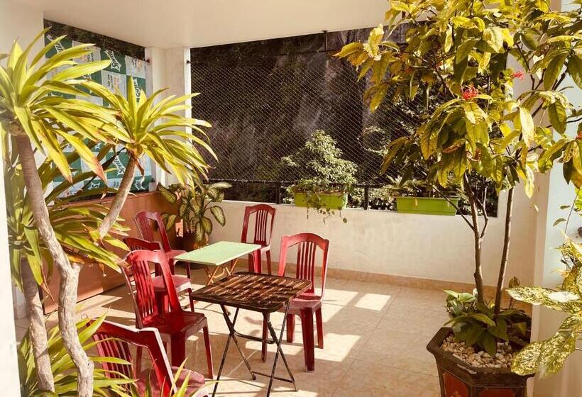 تختخواب در اتاق مشترک, Hoang Phuc Home   Hotel Cat Ba