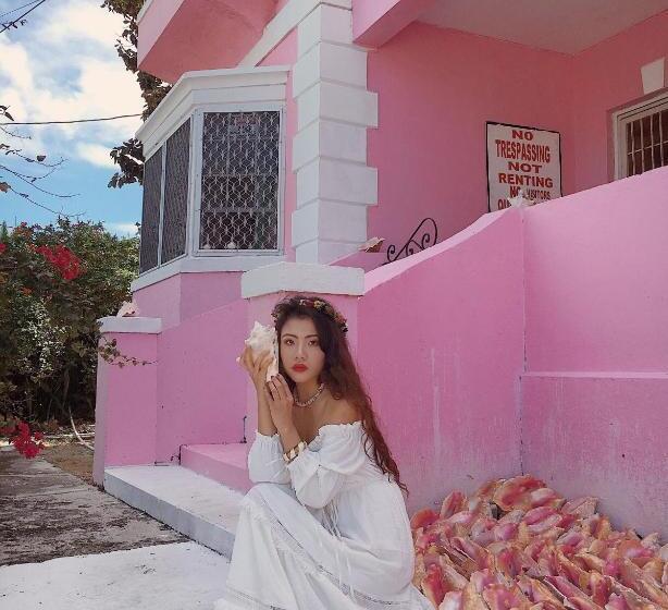 اتاق خانوادگی با چشم‌انداز دریا, Da Pink And White Palace