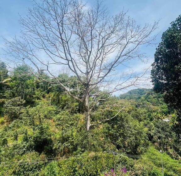 Номер Deluxe с Балконом, Alqasr Munnar