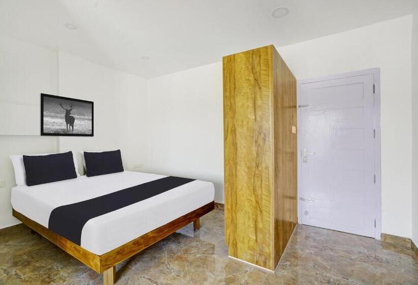 Номер Стандарт, Oyo Quilon Residency