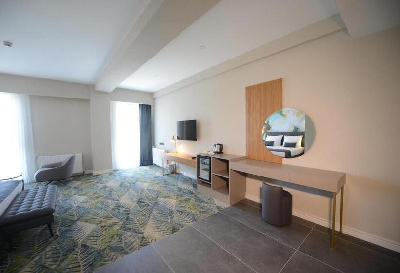 اتاق استاندارد برای معلولان, Wyndham Garden Cambasi