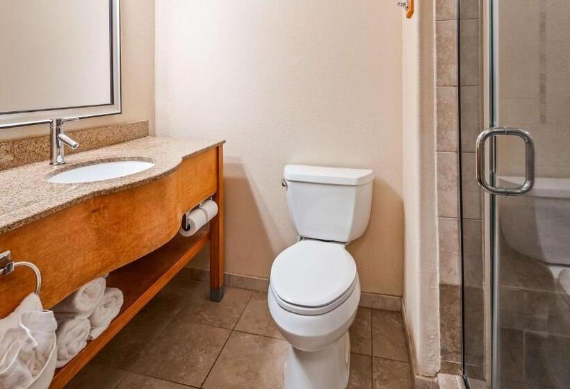 Стандартный Номер Кровать Кинг, Best Western Plus Rose City Conference Center Inn