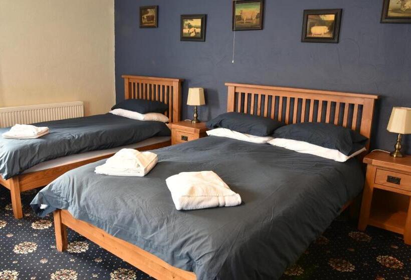 Family Room, Dinorben Arms