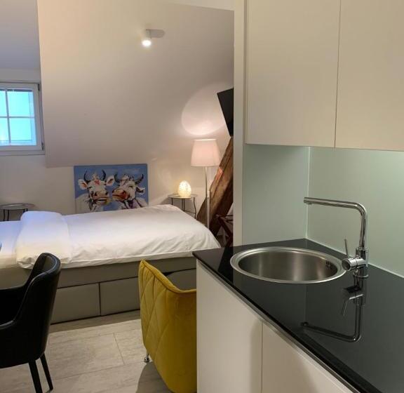 单人基本间, Smartroom The Residence La Cittadella Baden