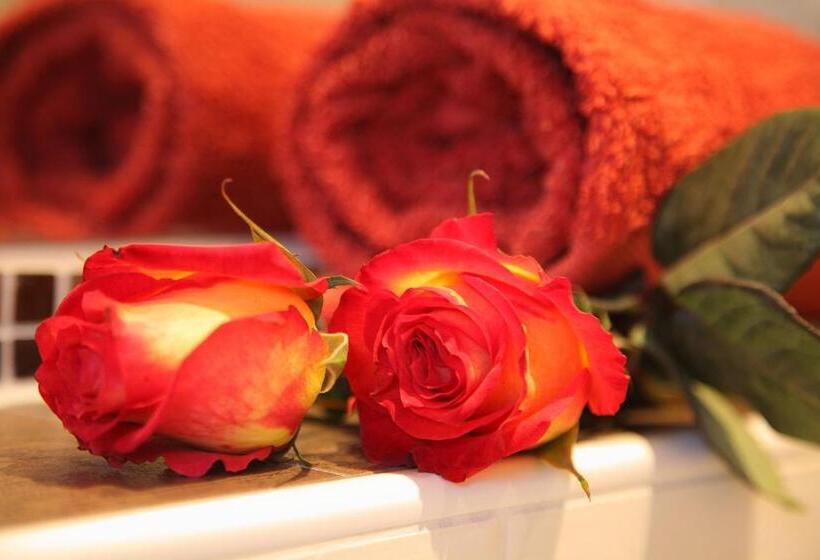 اتاق لوکس با بالکن, Theresenhof