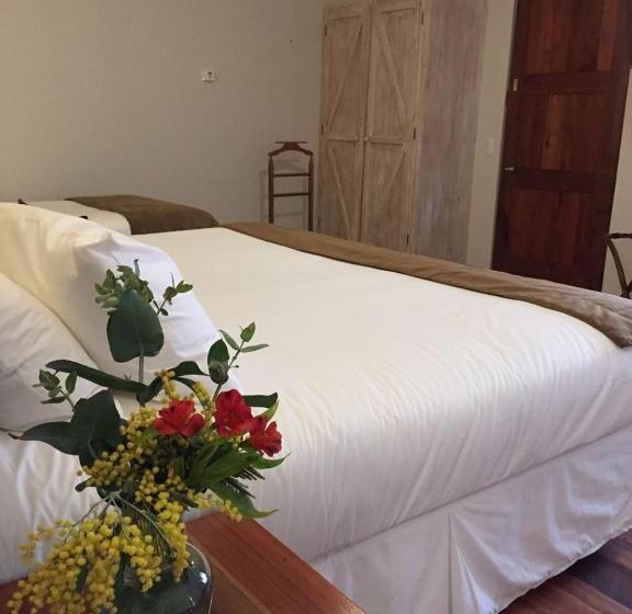 Quarto Estandar, Boutique Bc Wine Casablanca