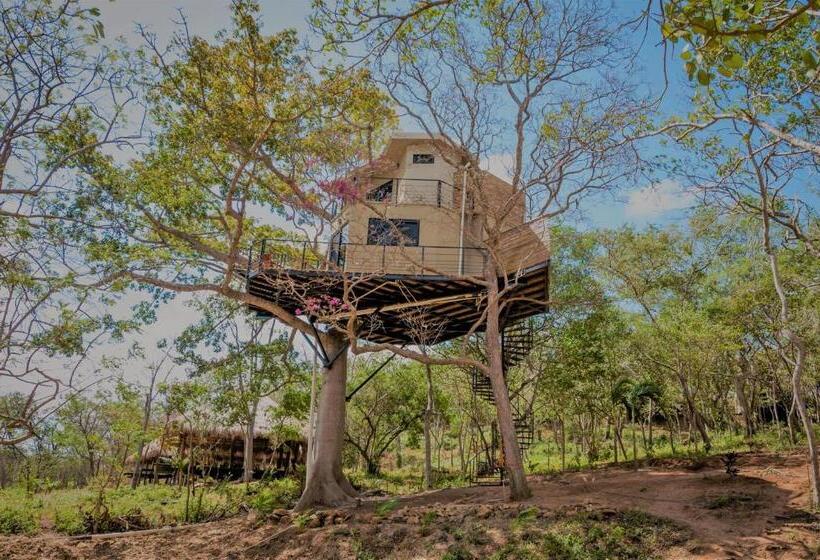 Бунгало Стандарт, Treecasa Hotel & Resort Nicaragua