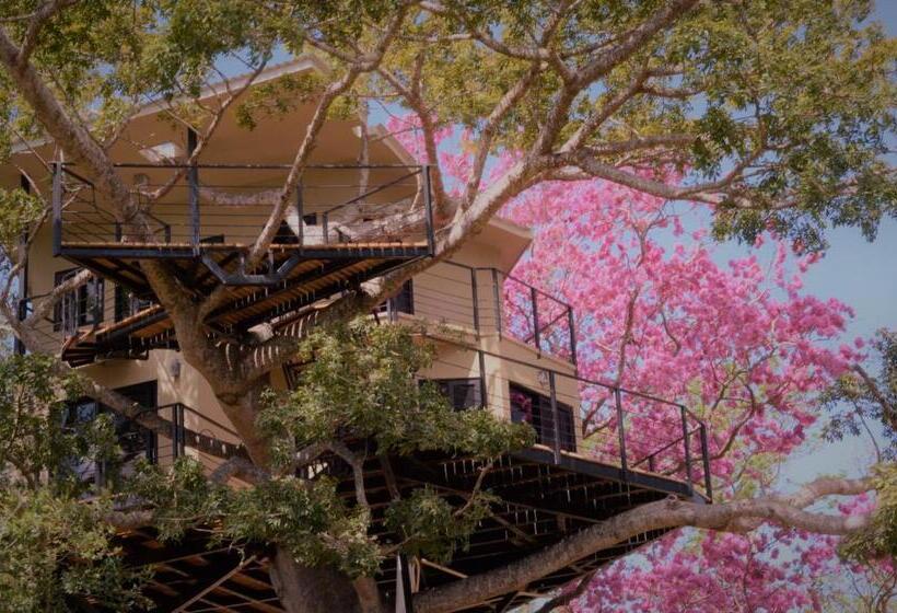 بانگلوی استاندارد, Treecasa Hotel & Resort Nicaragua