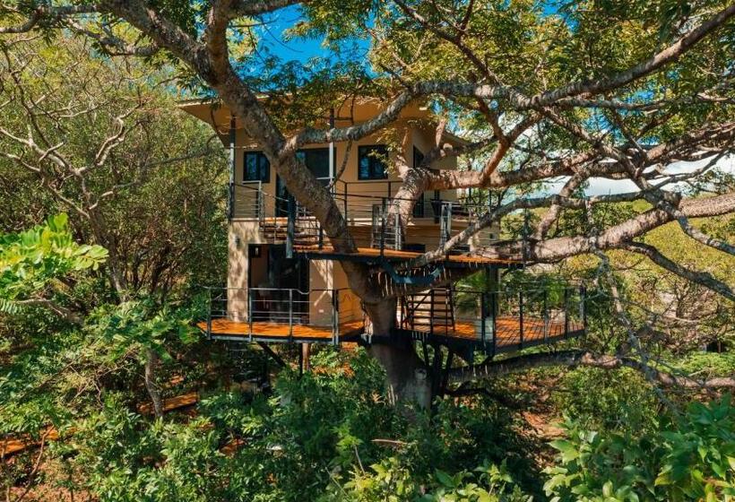 بانگلوی استاندارد, Treecasa Hotel & Resort Nicaragua