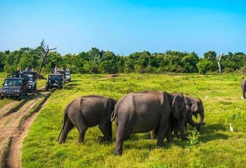 标准间, Sigiriya Pikaso Homestay