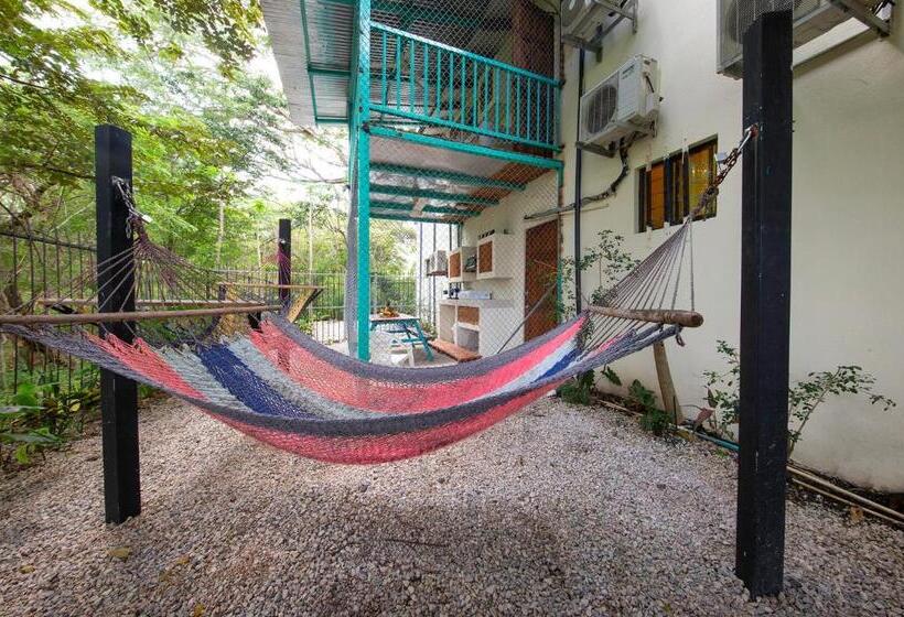 Номер Deluxe, Diversion Tropical