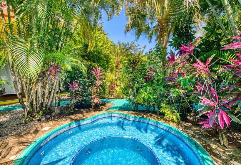 וילה בת 3 חדרי שינה, Villas Verdes