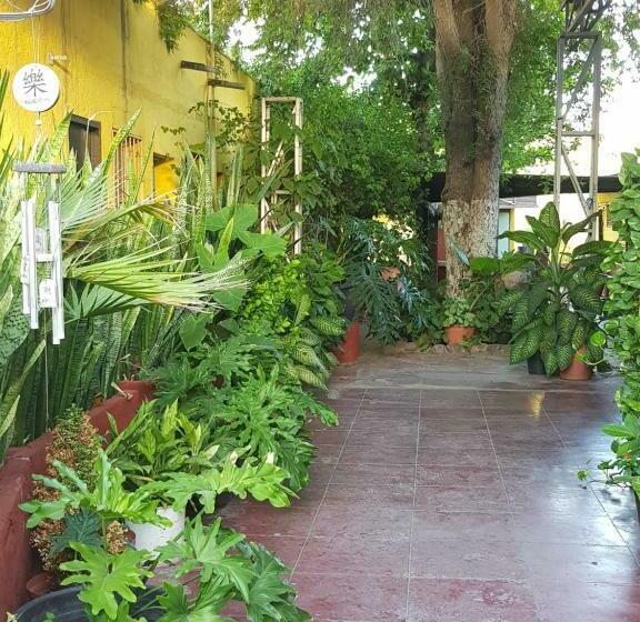 Standard Szoba, Hacienda San Jose