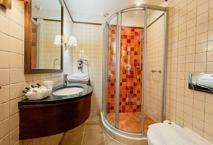 デラックスルーム, Park Hotel & Fitness Club Rzeszów