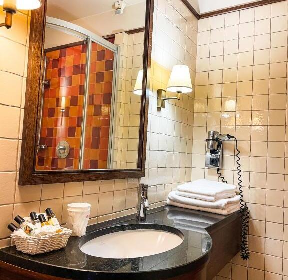 デラックスルーム, Park Hotel & Fitness Club Rzeszów