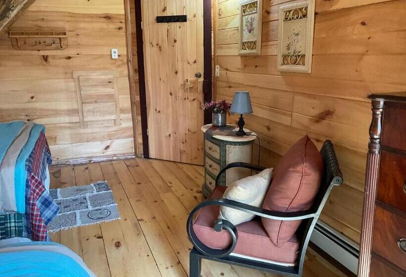 Номер Стандарт, Lodge Solange