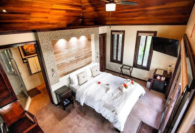 استودیو استاندارد با تخت کینگ, Pur Boutique Cabanas, Adults Only