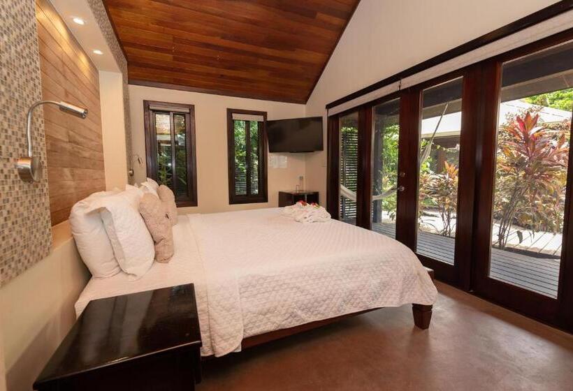 استودیو استاندارد با تخت کینگ, Pur Boutique Cabanas, Adults Only