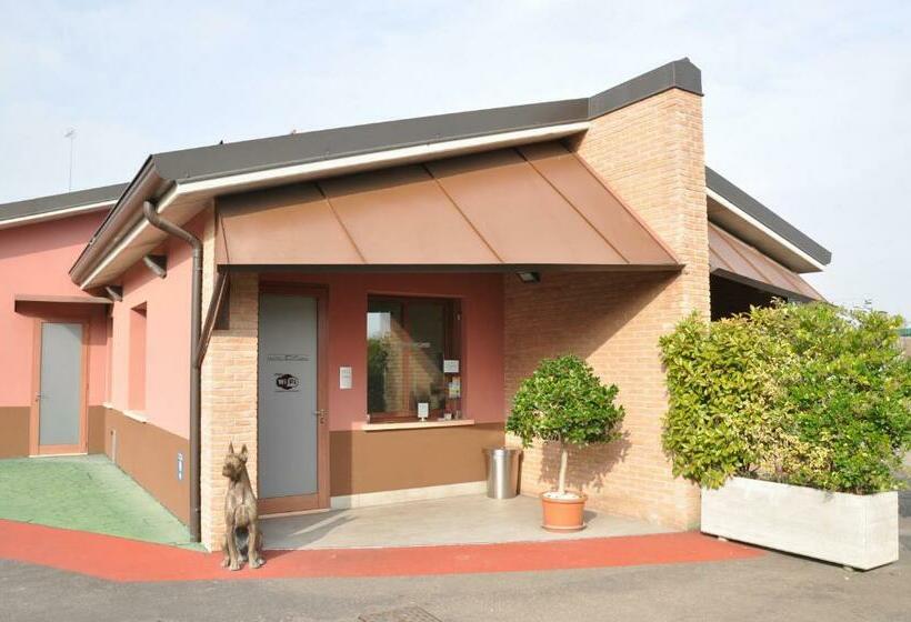 Camera Standard, Rimmel Motel